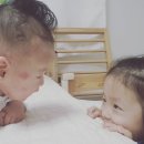 정인