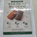 식스 | 광안리 디저트카페 맛집 엑시트식스 왁뿌볼과 버터떡 후기