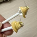 터프가위 | 셀프 코털왁싱 콧털왁싱 내돈내산 후기 with 남편