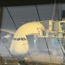 323 | [허니문] 인천발 두바이행 에미레이트 EK323 비상구 좌석 탑승후기_래플스 두바이 호텔 1일차