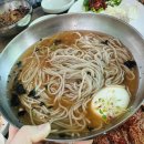 강릉 현지인 추천 맛집 형제 막국수 남편 최애 막국수 맛집으로 등극 수육은 필수