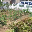 자라경로당 이미지