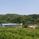 매화골농장 이미지