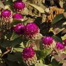 장성병원 중앙 이미지