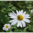 시월의 곳간 이미지