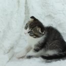 샵선경 네이버블로그