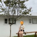 일번지상회 이미지