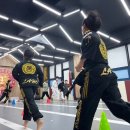 한국체육대학교 종합스포츠관 이미지