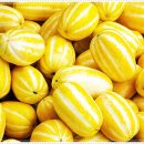 고덕연세탑재활의학과의원 이미지