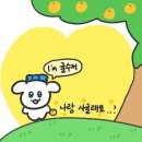 나의 제주집 이미지