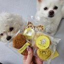 멍멍아 또 와 이미지