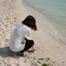 푸르미민박 이미지