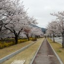 금오산사거리 이미지