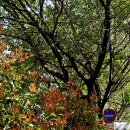 보훈농장 이미지