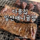 난다몽 | 다몽집 일산애니골점 일산고기맛집 방문후기 가격 오픈이벤트