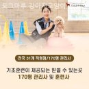 도그마루강아지고양이분양구미대구