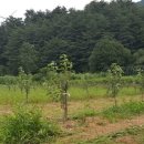 백담소나무계곡펜션 이미지