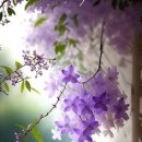 경기대로652번길 이미지