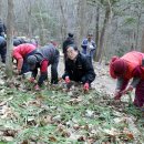 불갑농촌테마공원 이미지