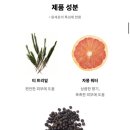 트리워터(tree water)