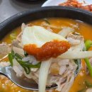 내 돈 내산 부산 대연역 혼밥 송가네 돼지국밥 후기