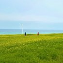 스테이경포 풀빌라 이미지