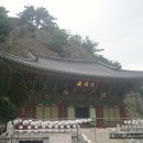 안일사앞 Daum카페