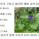 연식농장 이미지