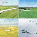 시골마을 이미지