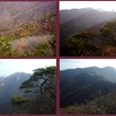 양지고속주유소 이미지