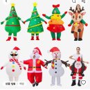 연못들2 | [정선] 도롱이연못 백패킹 인시리즈 정선in 후기(25년 12월..)