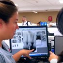 Compositio 이미지