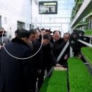 내각2로 이미지