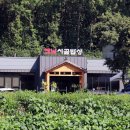 파주 헤이리 맛집 옛날시골밥상 대만족 후기!