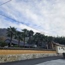 고향집 농박 이미지