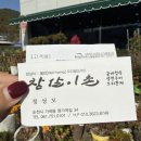 참살이촌 이미지