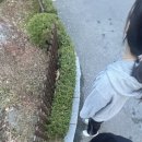 다들몰