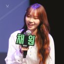 채원 이미지