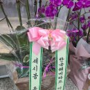 킴스여성의원 이미지