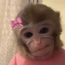 참좋은친구들 | #띄어쓰기를하지않은이유는너를향한내마음이여백없이빽빽해서야♡♡