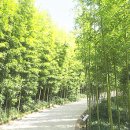 하늘리조트 이미지