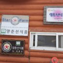 양춘선식품 | 2021 감귤오색쌈장 만들기 체험참가 후기