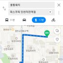 꿀통돼지