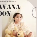 문스튜디오 네이버블로그