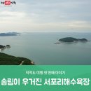서포리 해수욕장 네이버블로그