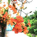 구소석길 이미지