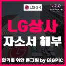 주식회사 팜트레이딩 | LG 상사 채용 2020년 자기소개서(자소서) 항목 예시, LG 그룹 분석
