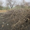 미원중학교 | 청주 미원중 전지목 폐기물, 학교 현장은 ‘허가업체’가 답입니다｜한국환경산업 처리 후기