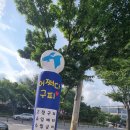 어쩌다구피