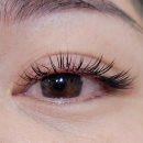 뷰티마인드 이미지